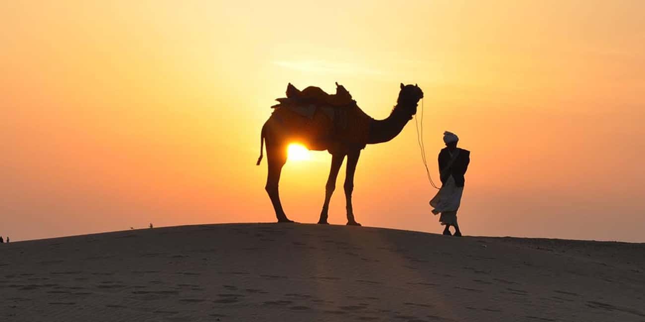 Desert Safari, QuadBike,Dune buggy, Sandboarding & CamelRide - Dune bashing and Sheraton Dune