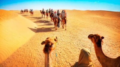 Desert Safari, QuadBike,Dune buggy, Sandboarding & CamelRide