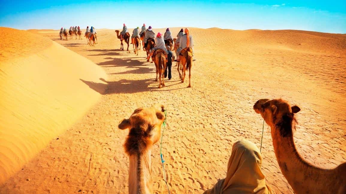 Desert Safari, QuadBike,Dune buggy, Sandboarding & CamelRide - Dune bashing across the sand