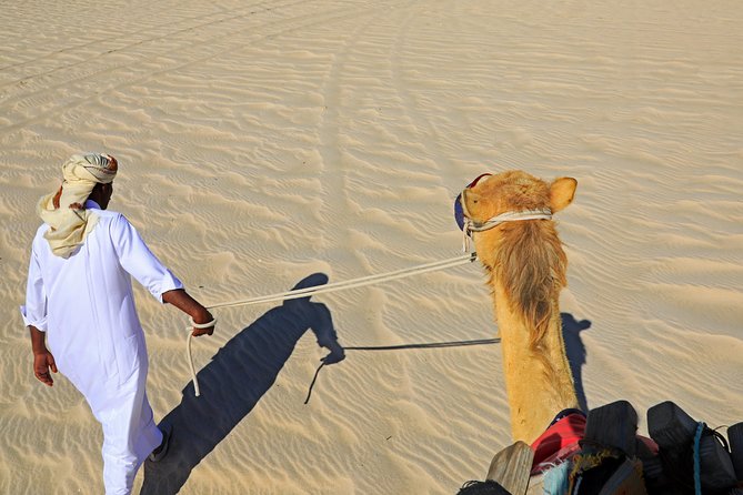 Desert Safari with Camel Ride, Sand Boarding & Inland Sea Tour in Doha - The guides and the quality of the day