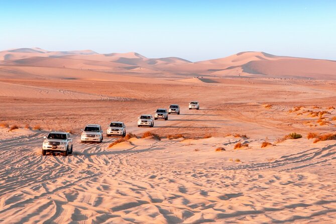 Desert Thrills Wild Dunes Safari in Doha - Dune bashing with a safety-first driver