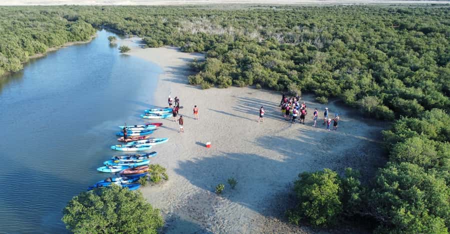 Discover Purple Island | Guided Mangrove Kayaking Experience - Wildlife watching without overpromising