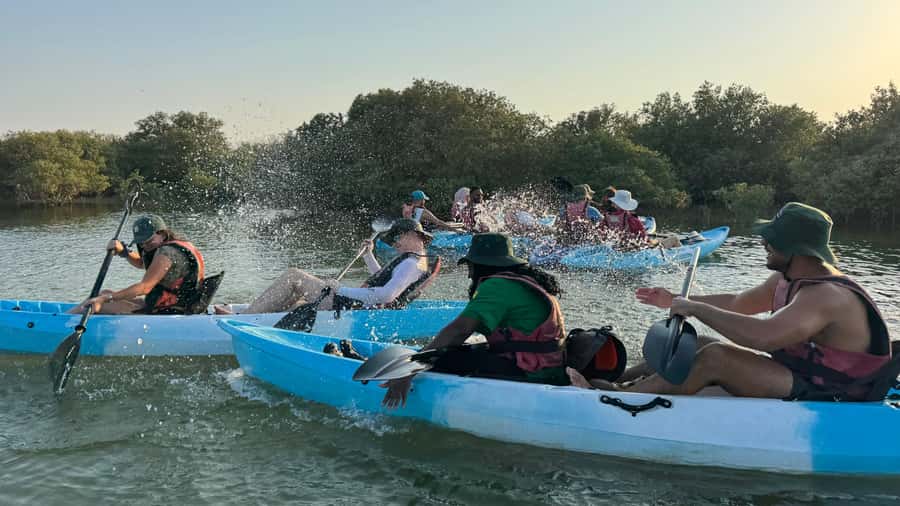 Discover Purple Island | Guided Mangrove Kayaking Experience - Who will enjoy this most?