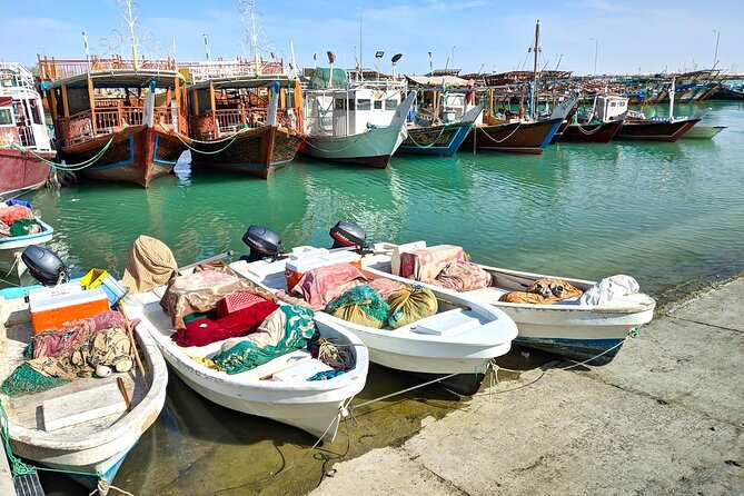 Discover Qatar’s Hidden Gems: North & West Coast Private Tour - Who will get the most from this tour