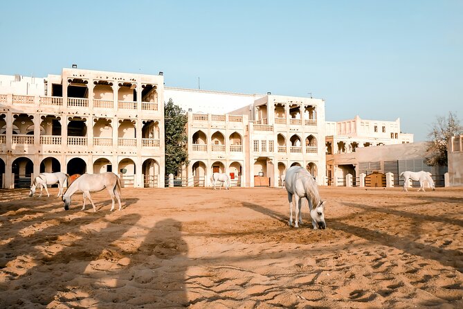 Discovering Doha Qatar | Guided City Tour | Half Day - Dhow Harbour connects Doha to pearling life