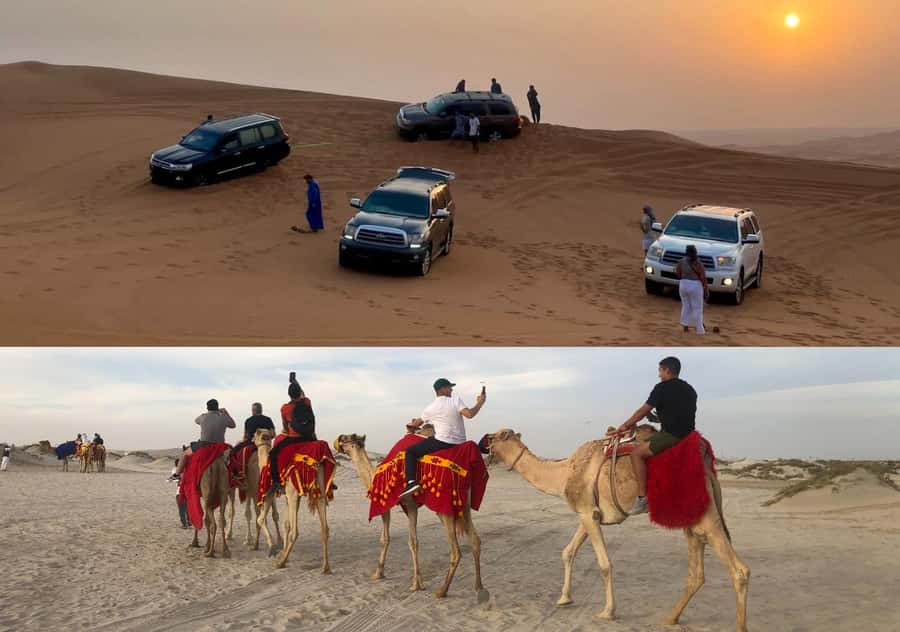 Doha Activities: Desert Safari, Dune Bashing & Inland Sea - Key points to know before booking