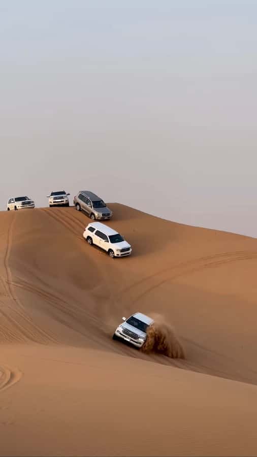 Doha Activities: Desert Safari, Dune Bashing & Inland Sea - Why this four-hour desert trip works