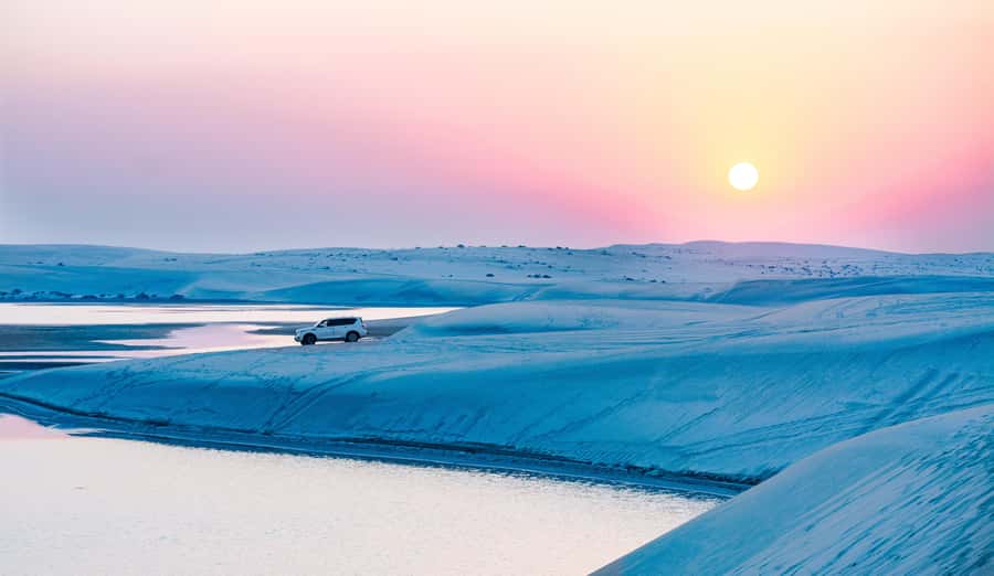 Doha Activities: Desert Safari, Dune Bashing & Inland Sea - Who should book this Doha desert safari?