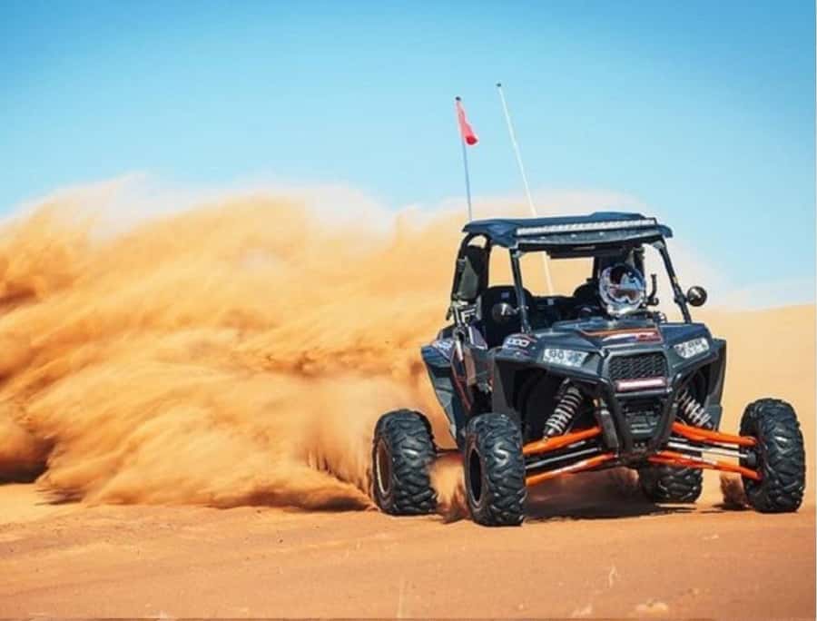 Doha Adventure Quad Bike Safari, Camel Ride & Refreshments - Practical timing and booking advice