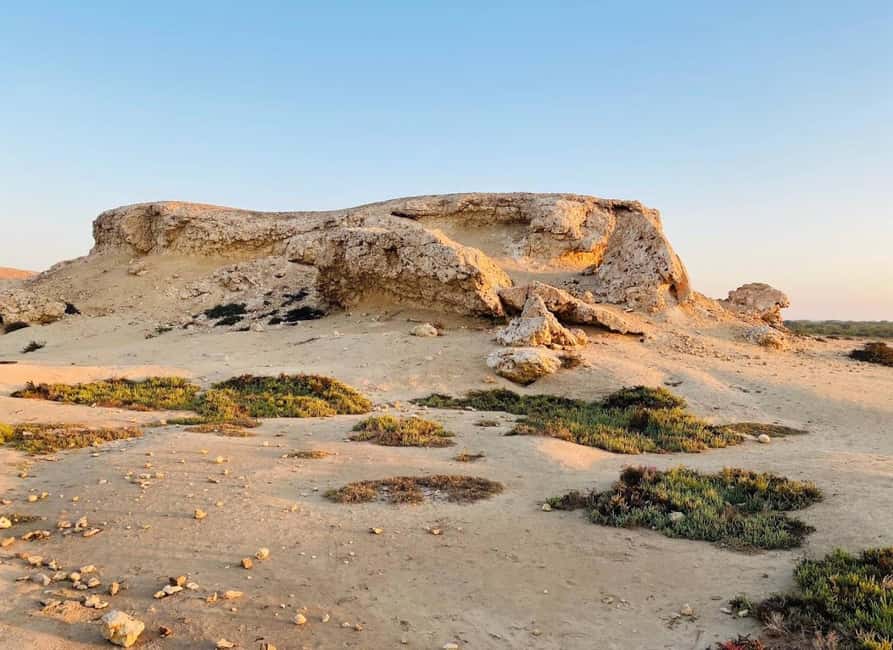 Doha: Al Zubara Fort, Al Jumail & Al Thakira Tour - Guides, driving, and the private-group option