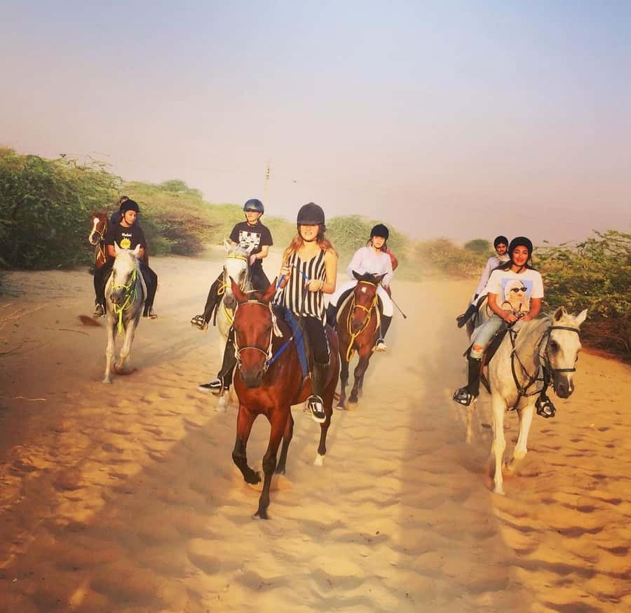 Doha : Arabian Horse Ride Experience With Pickup & Drop Off - Key points to know before booking