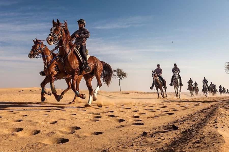 Doha : Arabian Horse Ride Experience With Pickup & Drop Off - Riding into the quiet desert