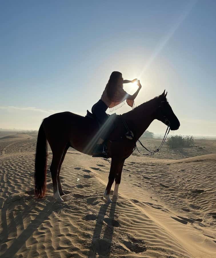 Doha : Arabian Horse Ride Experience With Pickup & Drop Off - Morning or late afternoon: choosing the better time