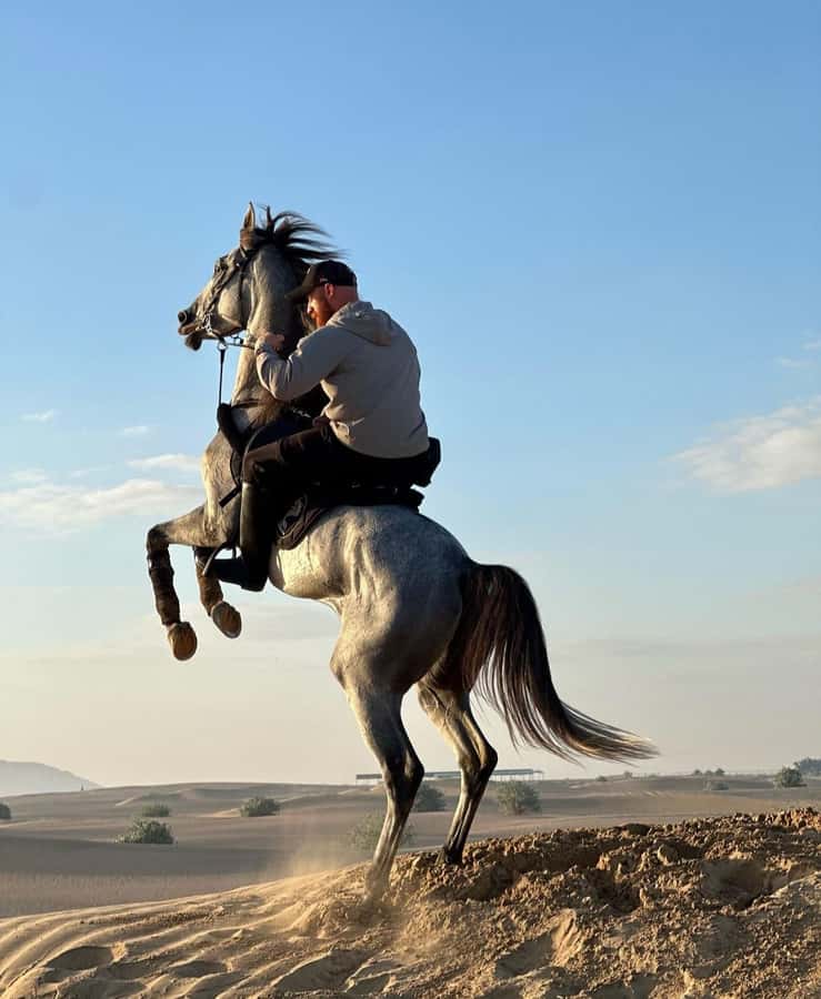 Doha : Arabian Horse Ride Experience With Pickup & Drop Off - Safety, comfort, and who should skip it