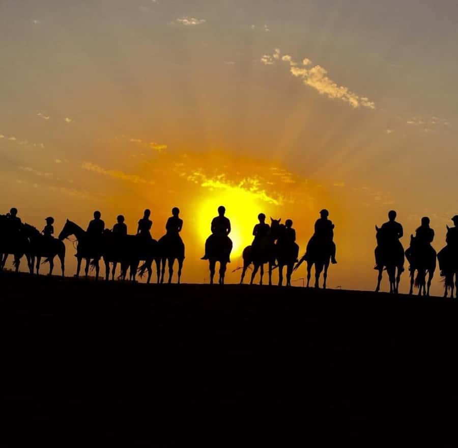 Doha : Arabian Horse Ride Experience With Pickup & Drop Off - Practical tips for a smoother ride