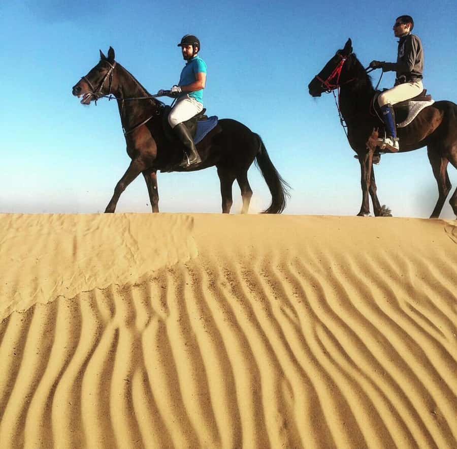 Doha : Arabian Horse Ride Experience With Pickup & Drop Off - Meeting your Arabian horse and instructor
