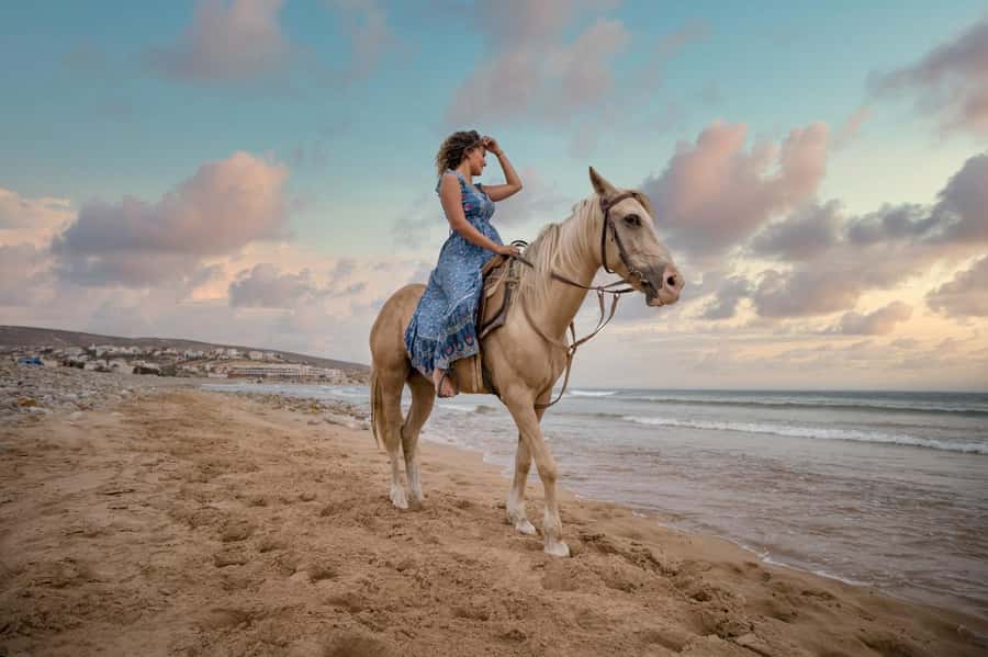 Doha : Arabian Horse Ride Experience With Transfer - Quick points before you book