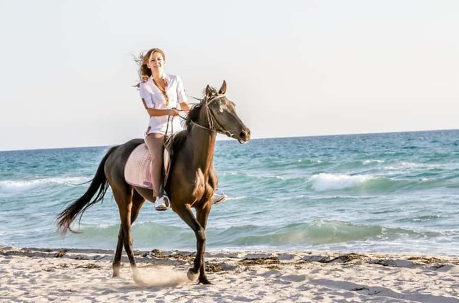 Doha : Arabian Horse Ride Experience With Transfer - Why this horse ride is different from a standard Doha tour