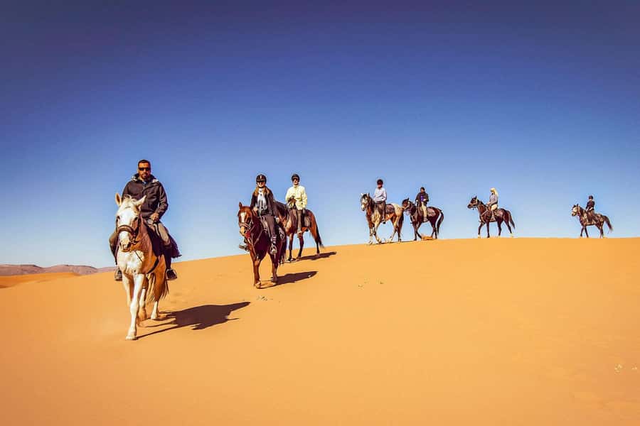 Doha : Arabian Horse Ride Experience With Transfer - Meeting your horse at the equestrian center
