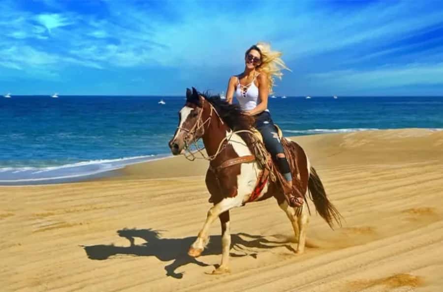 Doha : Arabian Horse Ride Experience With Transfer - The 45-minute drive from Doha to Sealine