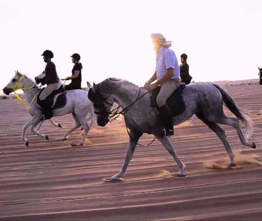 Doha: Arabian Horse Riding Experience –Sea or Desert Options - Who should book this experience?