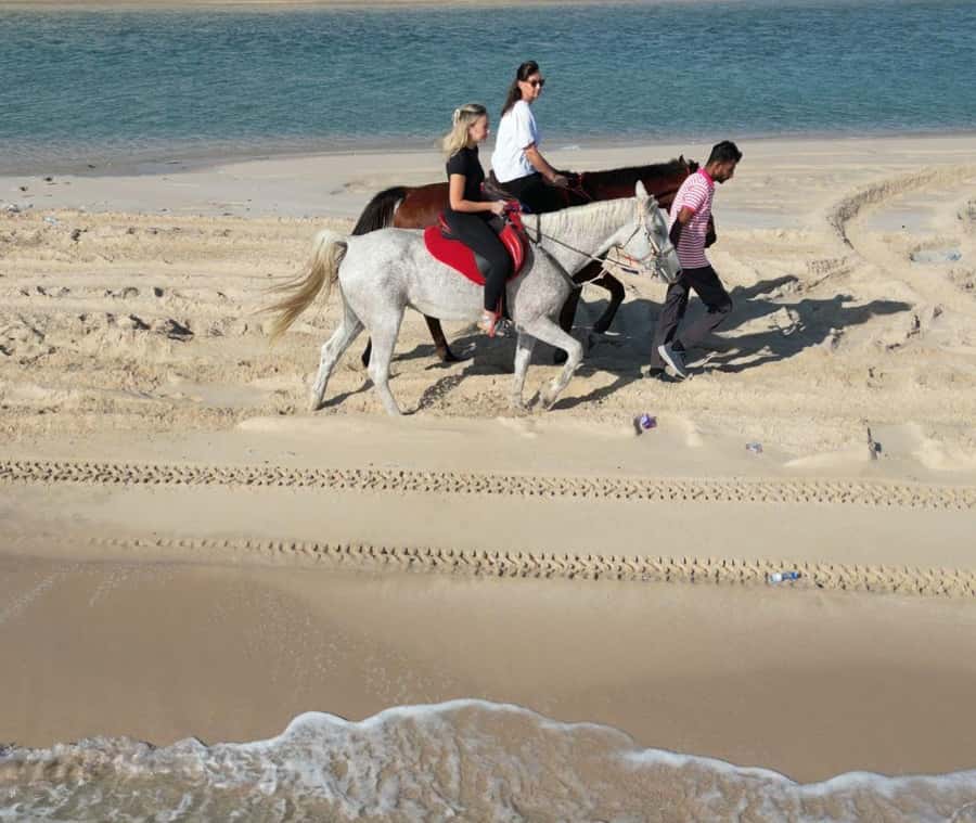 Doha: Arabian Horse Riding Experience –Sea or Desert Options - Meeting the Arabian horses