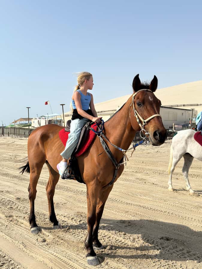 Doha: Arabian Horse Riding Experience –Sea or Desert Options - What the 60-minute ride feels like