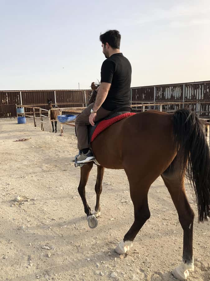 Doha: Arabian Horse Riding Experience –Sea or Desert Options - The optional 4x4 desert safari