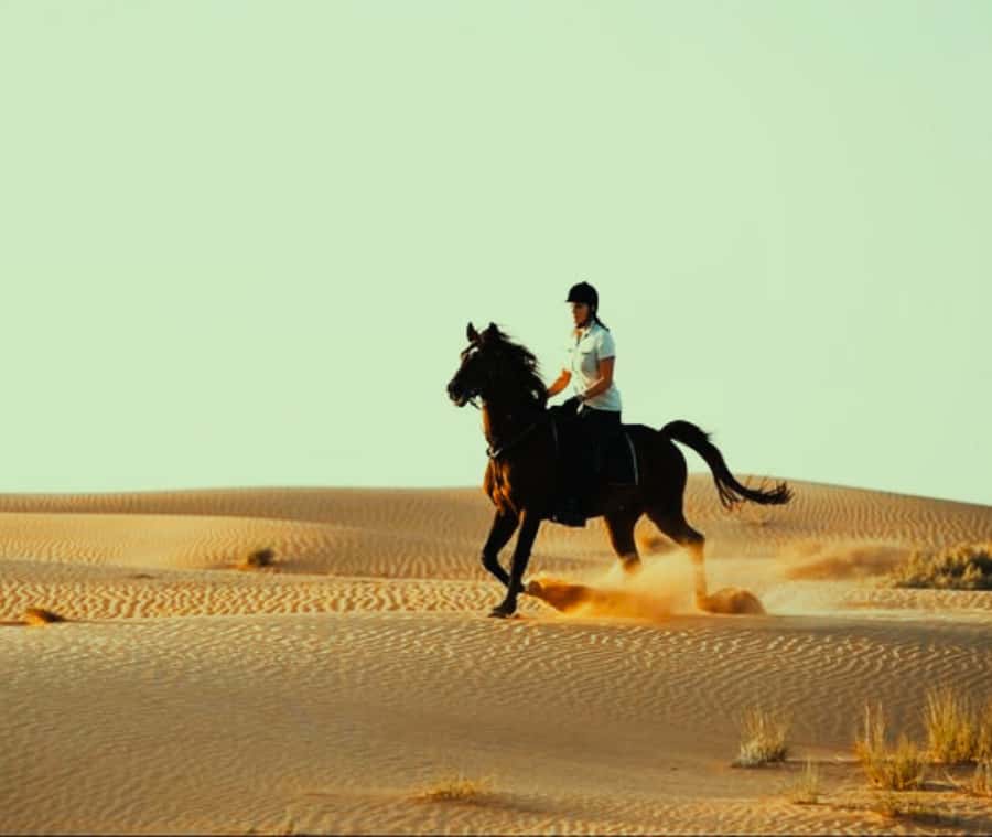 Doha: Arabian Horse Riding Experience –Sea or Desert Options - Heat, clothing, and comfort