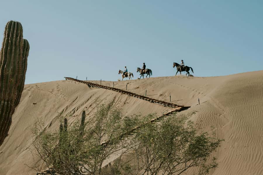 Doha: Arabian Horse Riding Experience –Sea or Desert Options - The value of $123 per person