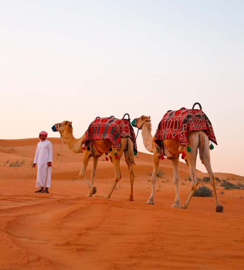 Doha: ATV/Desert Safari with Activities and Inland Sea Stop - Sandboarding without a long lesson