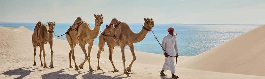 Doha: ATV/Quad, Safari 4x4, Camels, Sandboarding& Inland Sea - Camel riding and the photo stops