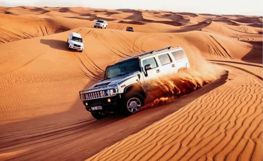 Doha: Beaches visit with Dune Bashing and SandBoarding - Camel Beach and close-up photo time