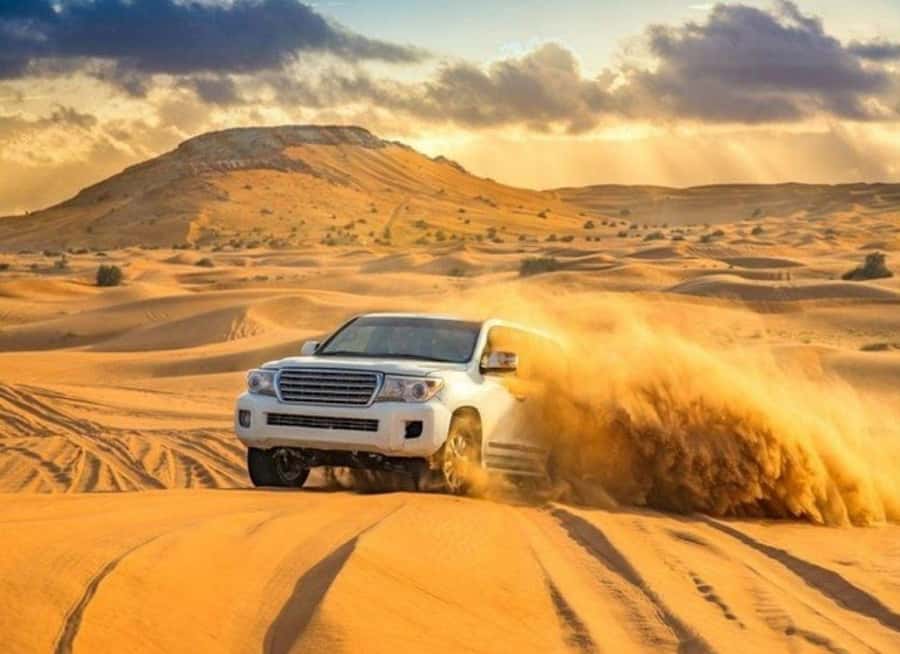 Doha: Budget Friendly Desert Safari,CamelRide & Sandboarding - What a four-hour desert safari really gives you