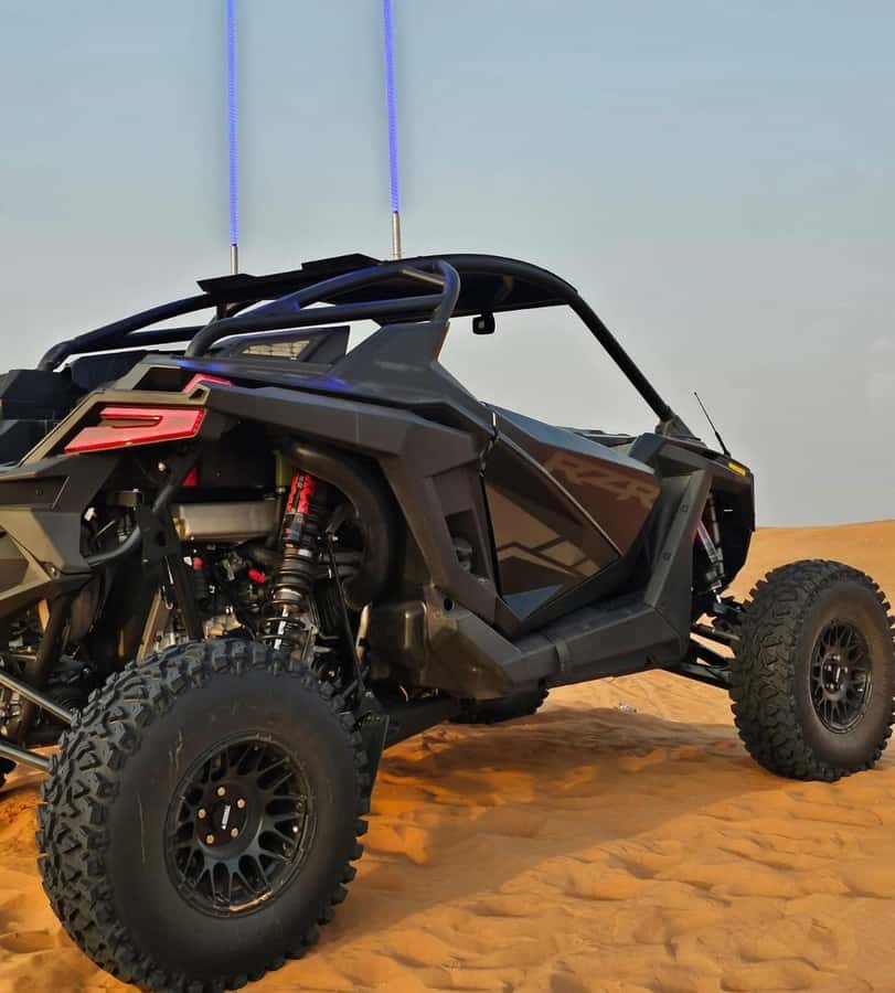 Doha: Buggy Adventure and desert safari - Quick points before you book