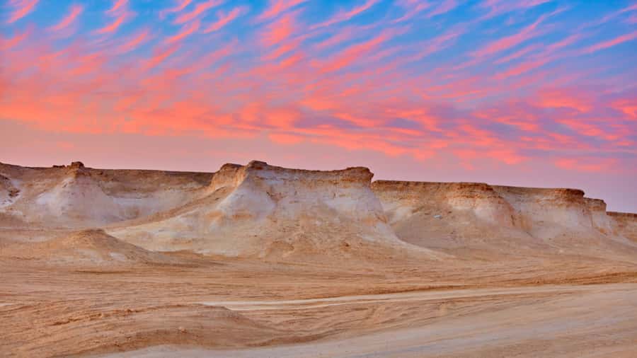Doha Camel Race Track & Richard Serra Desert Sculpture Tour - Why this west Qatar tour is worth your half-day