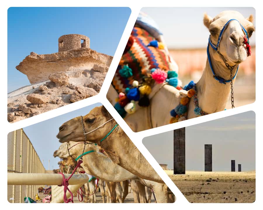 Doha Camel Race Track & Richard Serra Desert Sculpture Tour - Leaving Doha in a Jeep or SUV