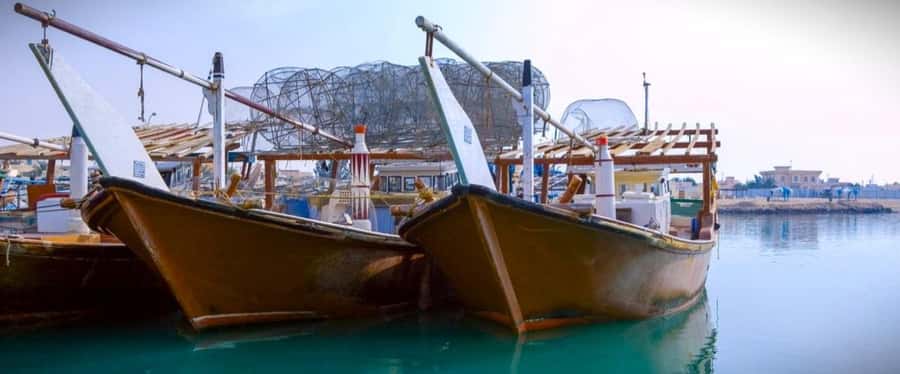 Doha: Combo Heritage & Art Tour of North and West Qatar - Key points to know before you book