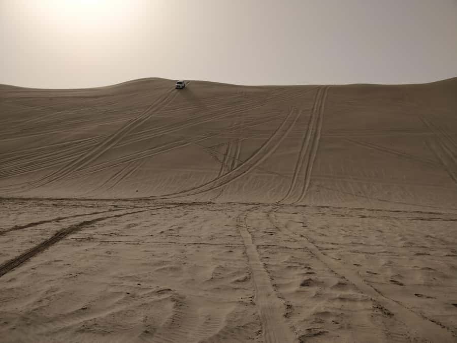 Doha: Combo Private Tour of Desert Safari with ATV Ride - What the $100 price really buys