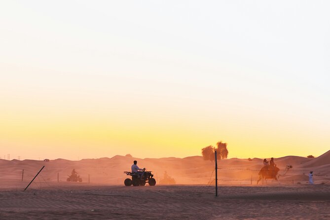 Doha Delights City Tour with Desert Safari and Inland Sea Visit - The Pearl and Lusail show Qatar’s modern side