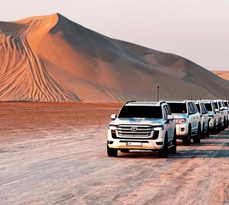 Doha: Desert Buggy Ride, Camel Ride, Dune Bashing, Sandboard - Who will enjoy this desert combination most