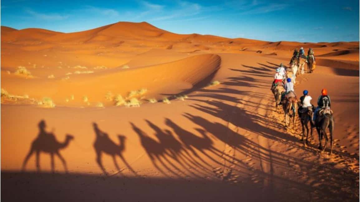 Doha Desert Excursion, Camel Ride, Inland sea, Sandboarding - Who Will Get the Most From This Excursion?