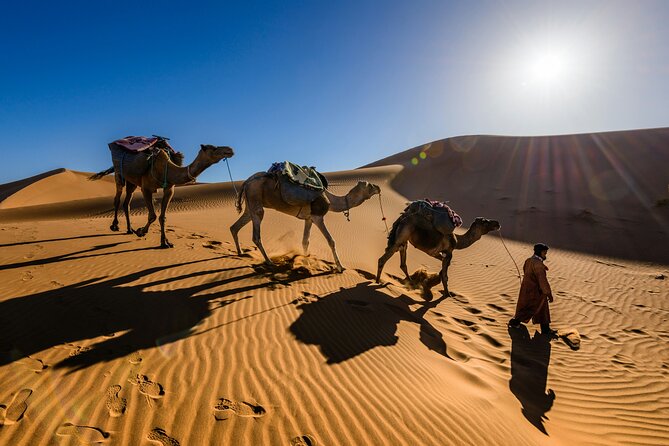 Doha Desert Excursion Dune Bashing Sandboarding Camel Ride - How the three to four hours fit together