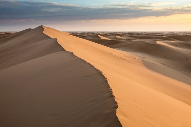 Doha Desert Quad Bike adventure with group, and Sand dune Driving - What this Doha desert trip actually offers