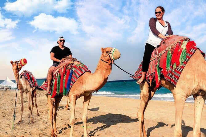 Doha Desert Safari Camel Ride, Sandboarding and Inland Sea - The drive from Doha toward the open sand