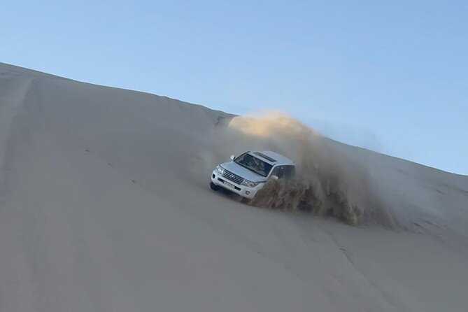 Doha Desert Safari Dune Bashing Camel Ride - Sandboarding on Qatar’s Dunes