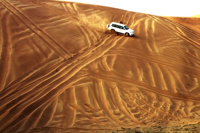 Doha Desert Safari Dune Bashing Camel Ride Sandboarding - Inland Sea Beach and the Qatar-Saudi border setting