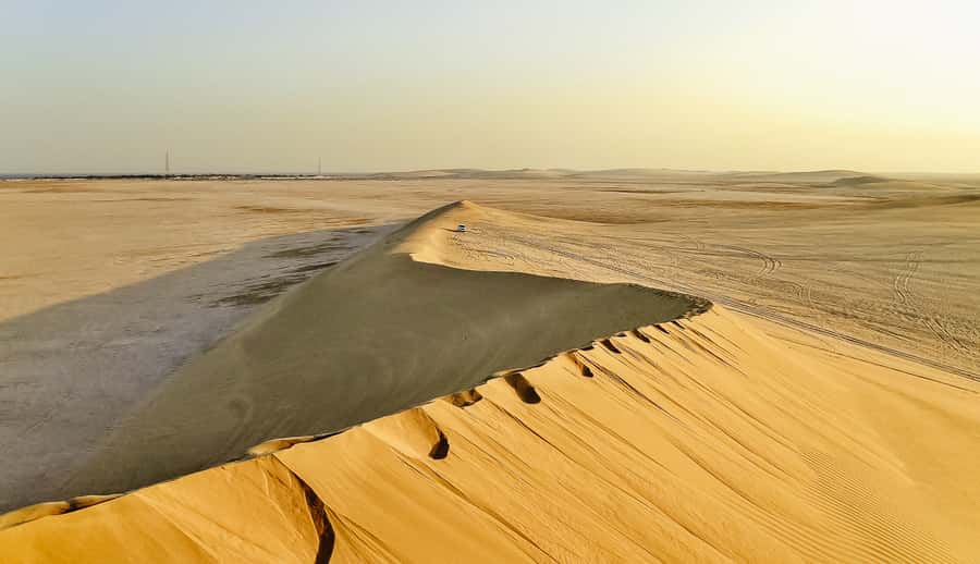 Doha: Desert Safari, Dune Bashing, Sandboarding, Camel Ride - Key points to know before booking
