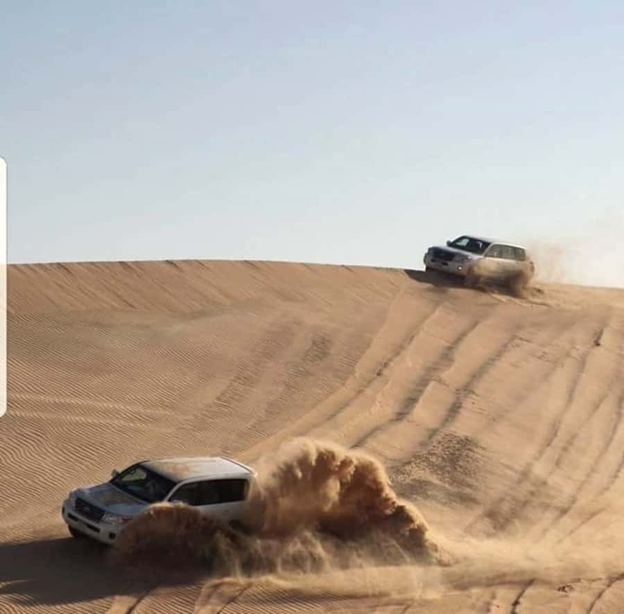 Doha: Desert Safari Dune Bashing, Sandboarding, & Camel Ride - How the $30 price holds up