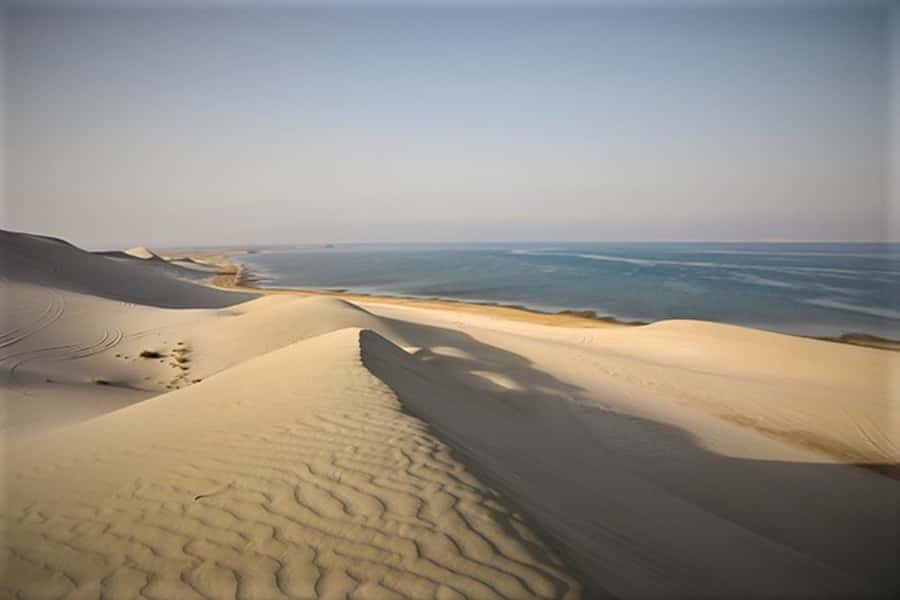 Doha: Desert Safari Dune Bashing, Sandboarding, & Camel Ride - The practical comfort and safety questions